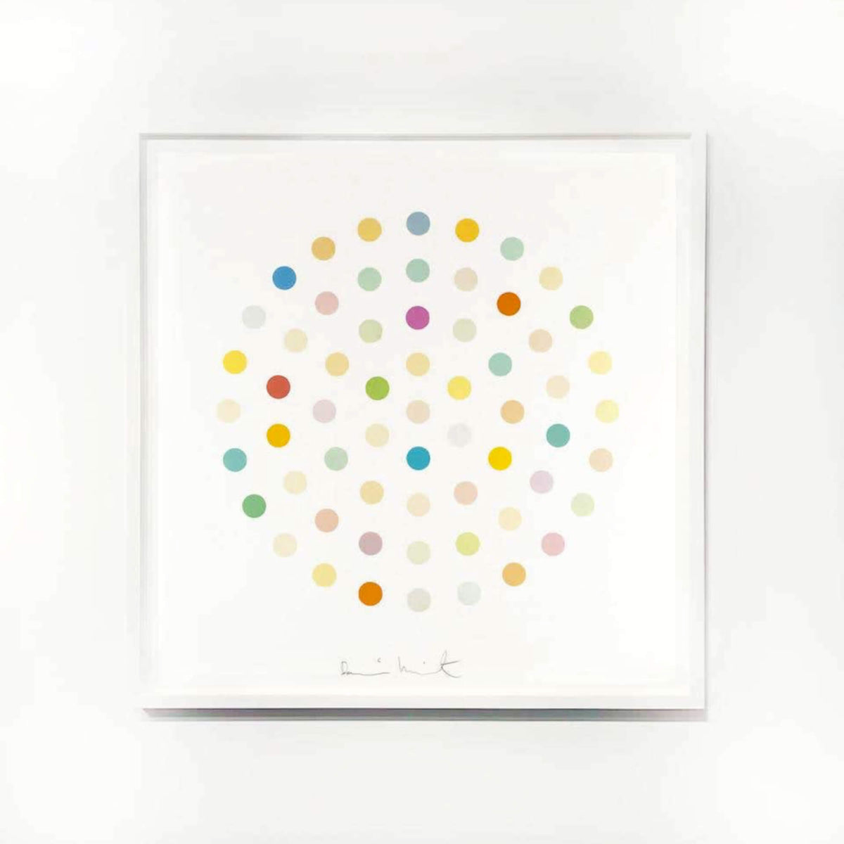 Damien Hirst's Ciclopirox Olamine Print - Hype Museum