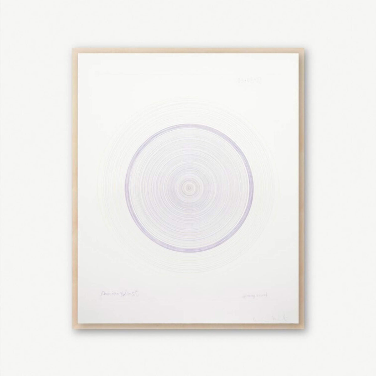 Damien Hirst's Spinning Around Print - Hype Museum