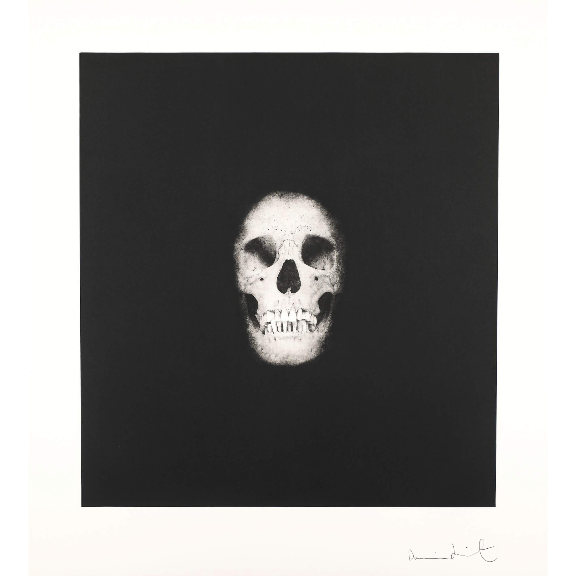 Damien Hirst-I Once Was What You Are, You Will Be What I Am 5 - Damien Hirst-art print