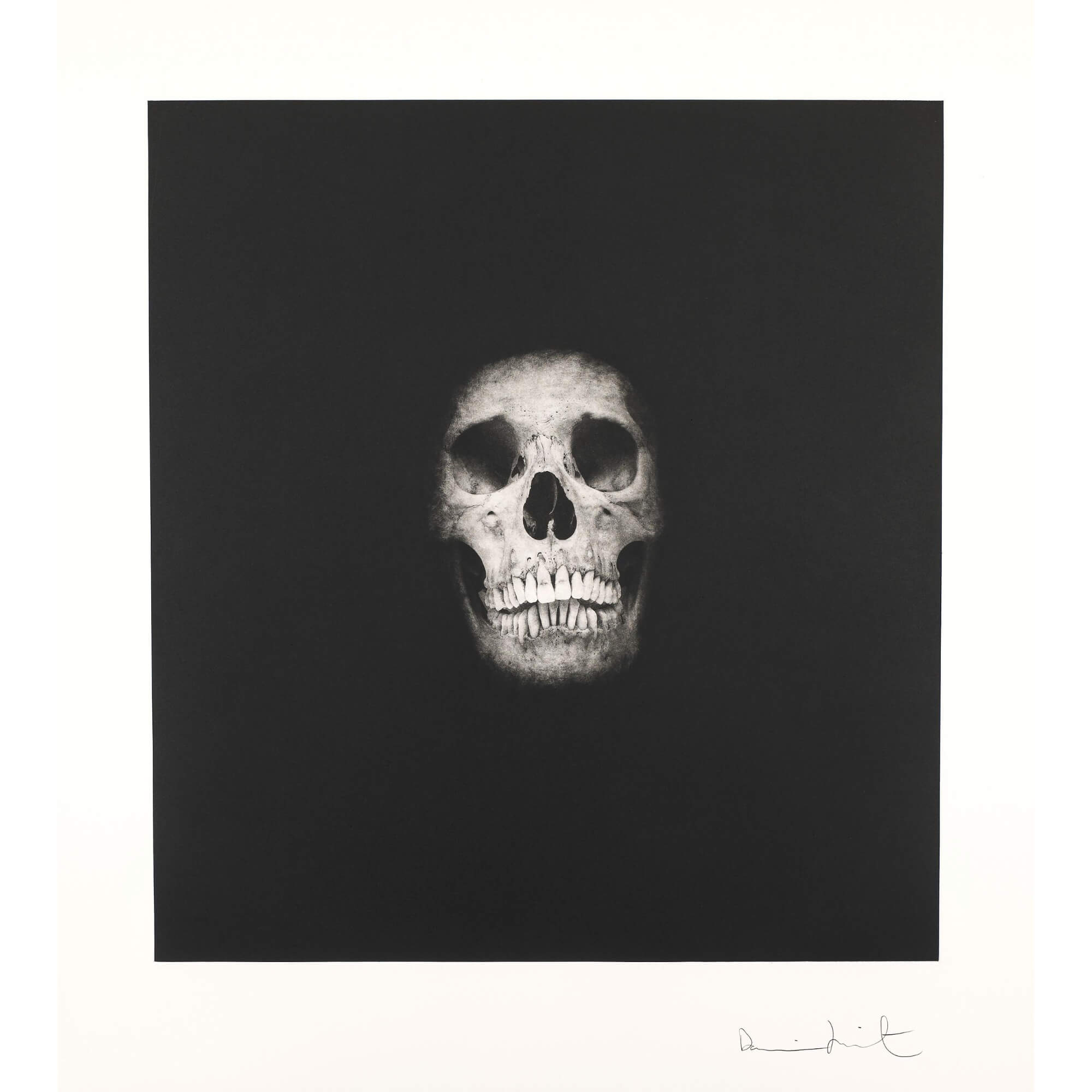 Damien Hirst-I Once Was What You Are, You Will Be What I Am 4 - Damien Hirst-art print