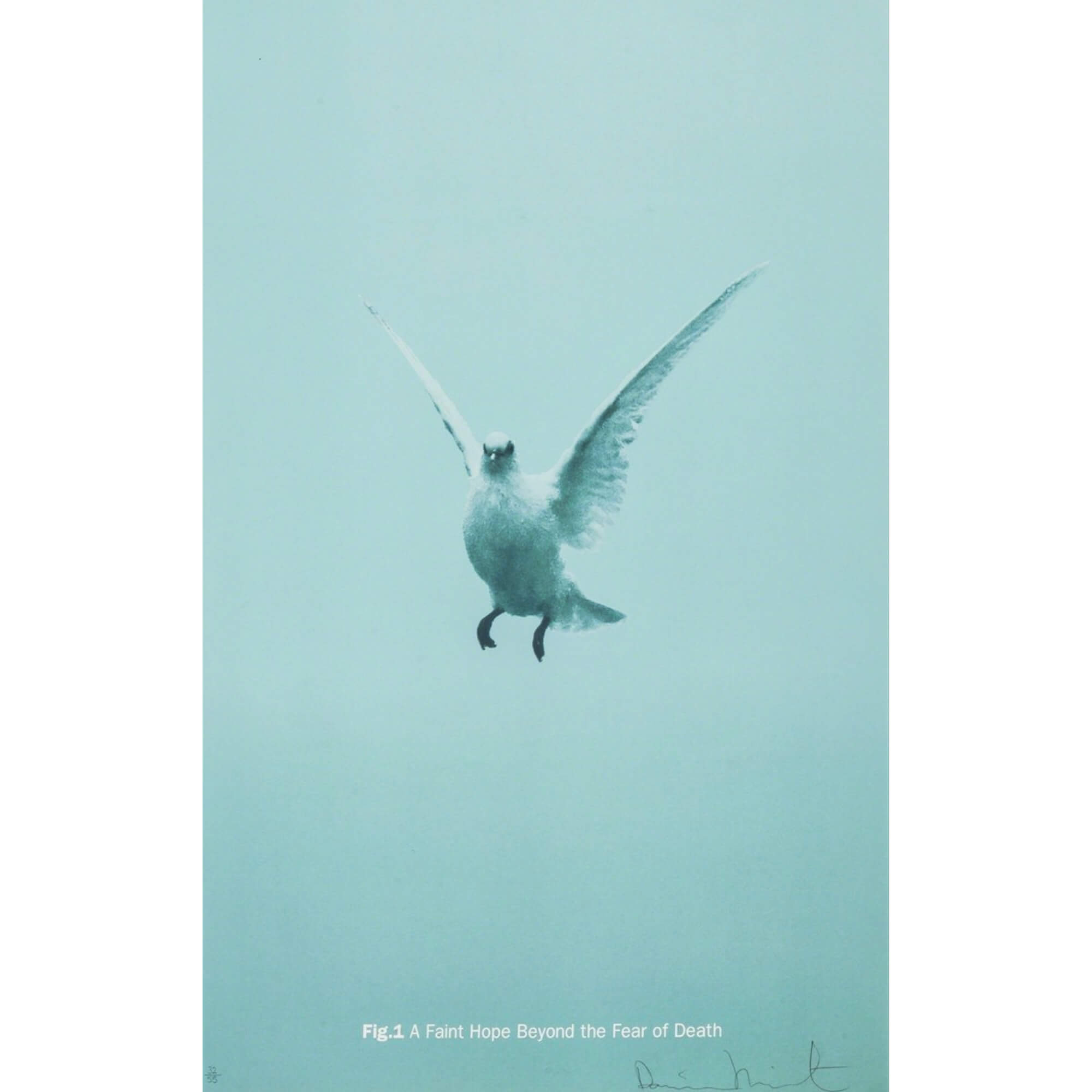 Damien Hirst-Fig A. A Faint Hope Beyond The Fear Of Death - Damien Hirst-art print