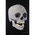 Damien Hirst-For The Love Of God, The Diamond Skull - Damien Hirst-art print