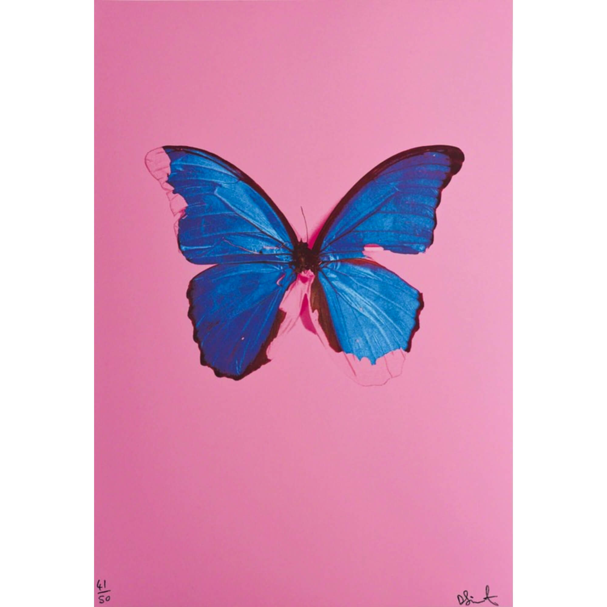 Damien Hirst-Blue Butterfly - Damien Hirst-art print