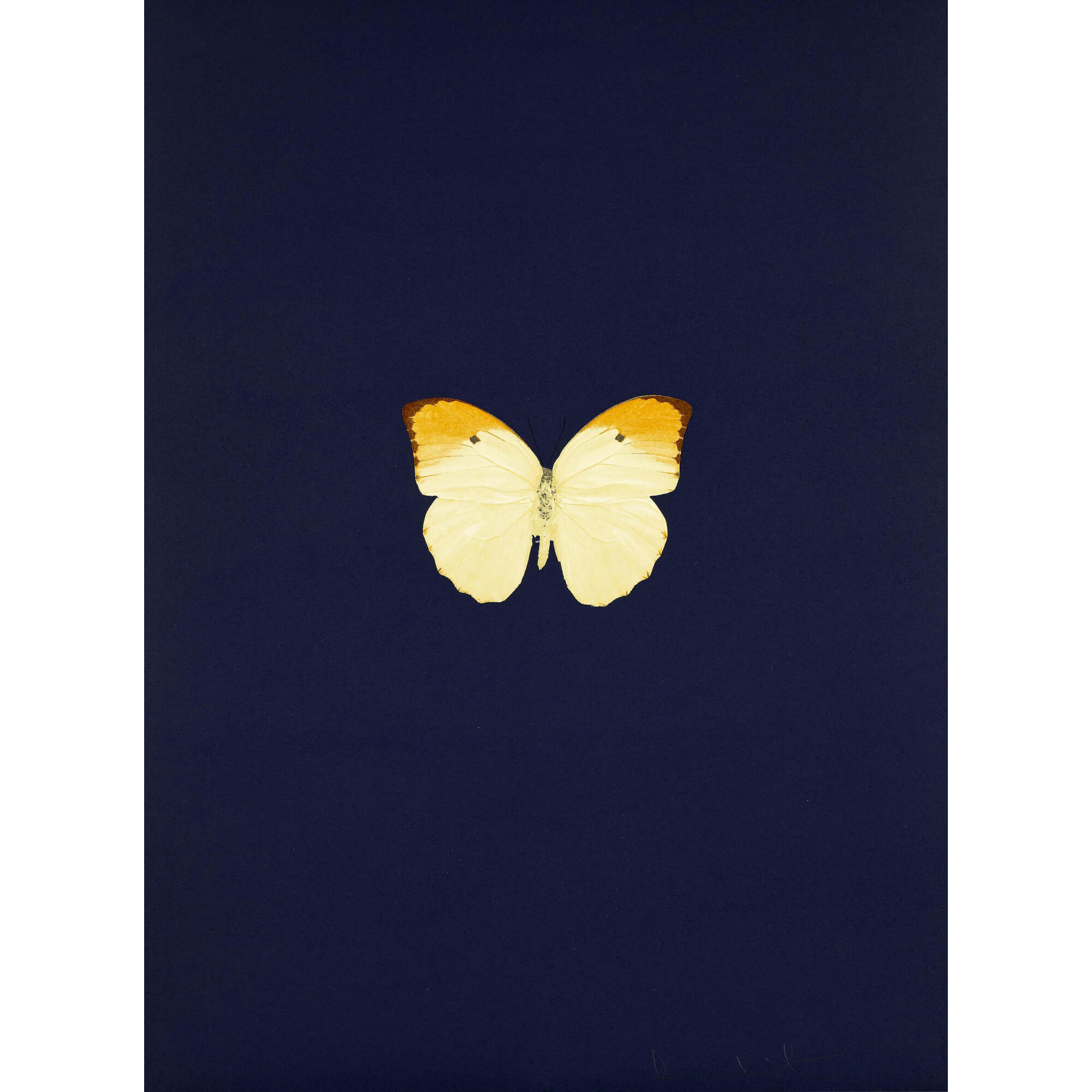 Damien Hirst-New Beginnings 4 - Damien Hirst-art print